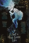What a Fish Looks Like - Syr Hayati Beker - 9781738316557