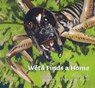 Weta Finds a Home - Gay Hay ; Margaret Tolland - 9781760361563