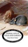 Animal Life in Field and Garden - Jean-Henri Fabre - 9781761533914