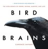 Bird Brains - Candace Savage - 9781771644259