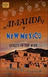 Amanda in New Mexico - Darlene Foster - 9781771681216