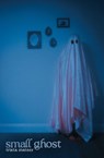 Small Ghost - Trista Mateer - 9781771683876