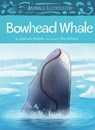 Animals Illustrated: Bowhead Whale - Joanasie Karpik - 9781772271621