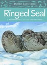 Animals Illustrated: Ringed Seal - William Flaherty - 9781772273700