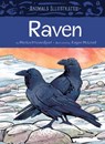 Animals Illustrated: Raven - Monica Ittusardjuat - 9781772275230