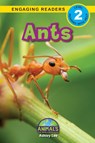Ants - Ashley Lee - 9781774376225