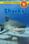 Sharks - Ashley Lee - 9781774376683