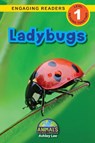 Ladybugs - Ashley Lee - 9781774376935