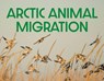 Arctic Animal Migration - Arvaaq Press - 9781774506424