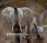 Let Elephants Roam - Rudi van Aarde - 9781776433230