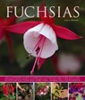 Fuchsias - Andrew Mikolajski - 9781780192376