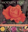 Modern Roses - Andrew Mikolajski - 9781780192727