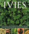 Ivies - Key Hazel - 9781780193687