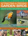 A Practical Illustrated Guide to Attracting & Feeding Garden Birds - GREEN,  Dr Jen - 9781780194998
