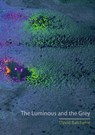 The Luminous and the Grey - David Batchelor - 9781780232805