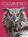 Colourmetrics - Max Jackson ; Buster Books - 9781780557489