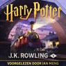 Harry Potter en de Steen der Wijzen - J.K. Rowling - 9781781108031