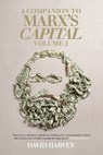 A Companion to Marx's Capital, Volume 2 - David Harvey - 9781781681213