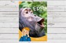 Dyna Chi Dric: Epa - Eirian Lloyd Jones ; Aneirin Karadog - 9781783904488