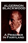 Algernon Blackwood - A Prisoner In Fairyland - Algernon Blackwood - 9781783947119