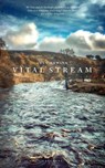Vital Stream - Lucy Newlyn - 9781784108076