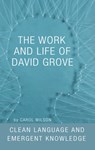 The Work and Life of David Grove - Carol Wilson - 9781785892882