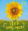 Lifecycles: Seed to Sunflower - Camilla de la Bedoyere - 9781786036209