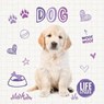 Dog - Holly Duhig - 9781786372369