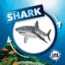 Life Cycle of a Shark - Kirsty Holmes - 9781786372857