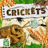 Crickets - William Anthony - 9781786377234