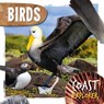 Birds - Robin Twiddy - 9781786379887