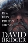 In a Hedge Druid's Grove - David Bridger - 9781786455888