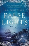 False Lights - MORAN,  Katy - 9781786695345