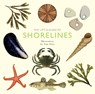 The Little Guide to Shorelines - Alison Davies - 9781787139596