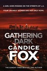 Gathering Dark - Candice Fox - 9781787462069