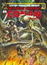 The Savage Sword Of Conan: The Original Comics Omnibus Vol.6 - Roy Thomas ; Chris Claremont - 9781787745117