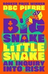 Big Snake Little Snake - PIERRE,  DBC - 9781788169783