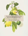 RHS Botanical Illustration - Charlotte Brooks - 9781788840149