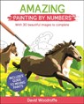 Amazing Painting by Numbers - David Woodroffe - 9781789507935
