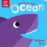 Sparkle-Go-Seek Ocean - Katie Button - 9781789585063