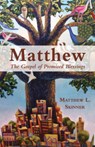 Matthew: The Gospel of Promised Blessings - Matthew L. Skinner - 9781791030131