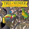 Tree of Wonder - Kate Messner - 9781797206837