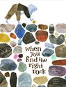 When You Find the Right Rock - Mary Lyn Ray ; Felicita Sala - 9781797214580