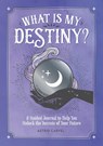 What is My Destiny? - Astrid Carvel - 9781800074200