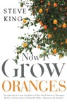Now I Grow Oranges - Steve King - 9781800745827