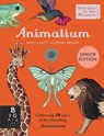 Animalium (Junior Edition) - Jenny Broom - 9781800783706