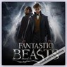 Fantastic Beasts Square Calendar -  - 9781801226141
