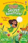 Tiny the Secret Adventurer: The Mystery Visitor - Aisha Bushby - 9781801314138