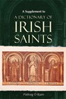 A dictionary of Irish Saints - Padraig O Riain - 9781801511629