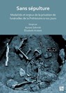 Sans Sepulture - Aurore (Director of research Schmitt ; Elisabeth (Director of Research (French National Centre for Scientific Research) Anstett - 9781803274263